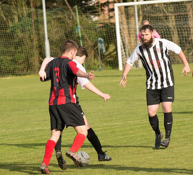 了彩虹袖标 了彩虹袖标