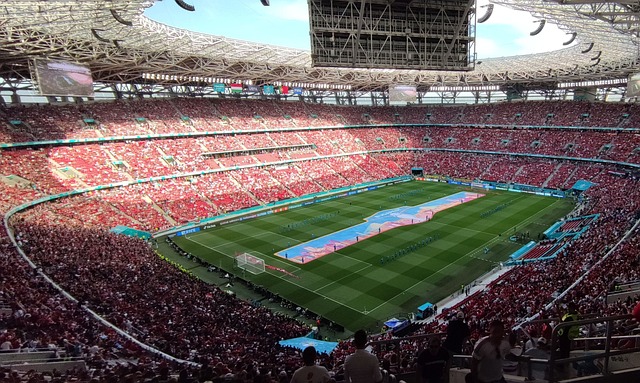 了勇士队的 了勇士队的