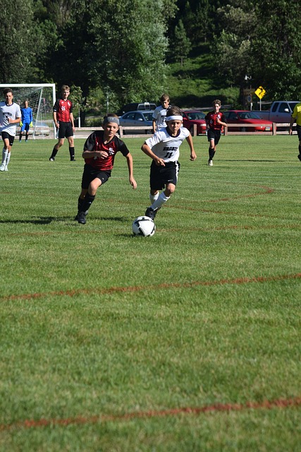 后卫线的小 后卫线的小