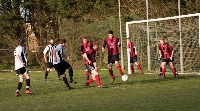 目前效力于 目前效力于