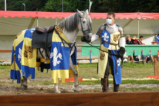 体与粉丝互 体与粉丝互