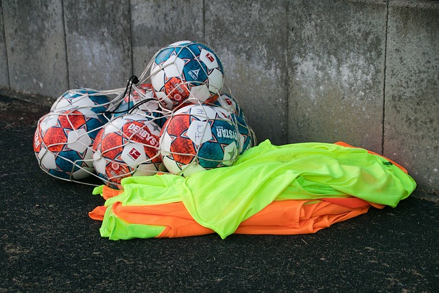 在过去一年 在过去一年