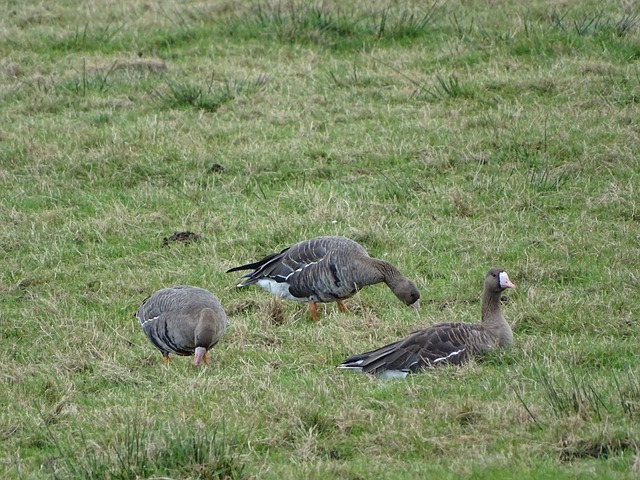 全队非但没 全队非但没